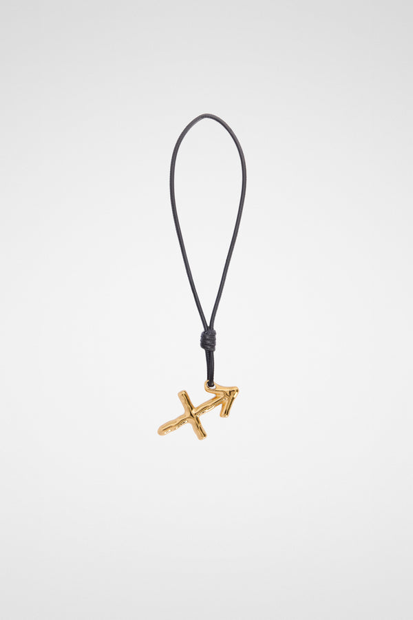 Zodiac Charm